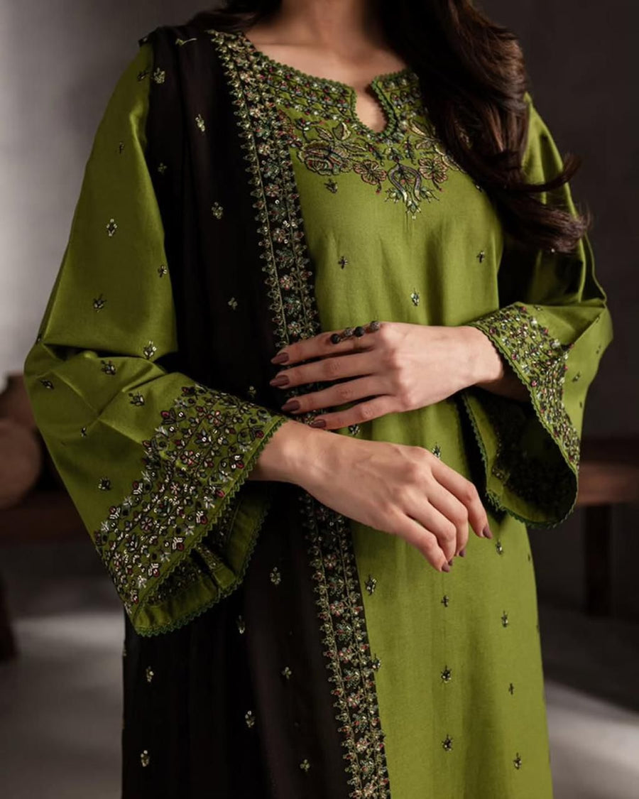 Aneela Brand Dhanak 3PC
