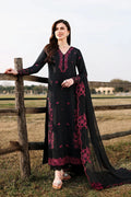 Aneela Brand Dhanak 3PC